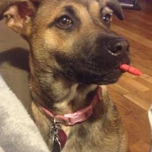 Meet your Posher, Mike